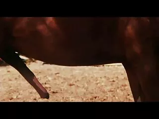 Hint og hindi sexy Indiske video offentlig nakenhet da han